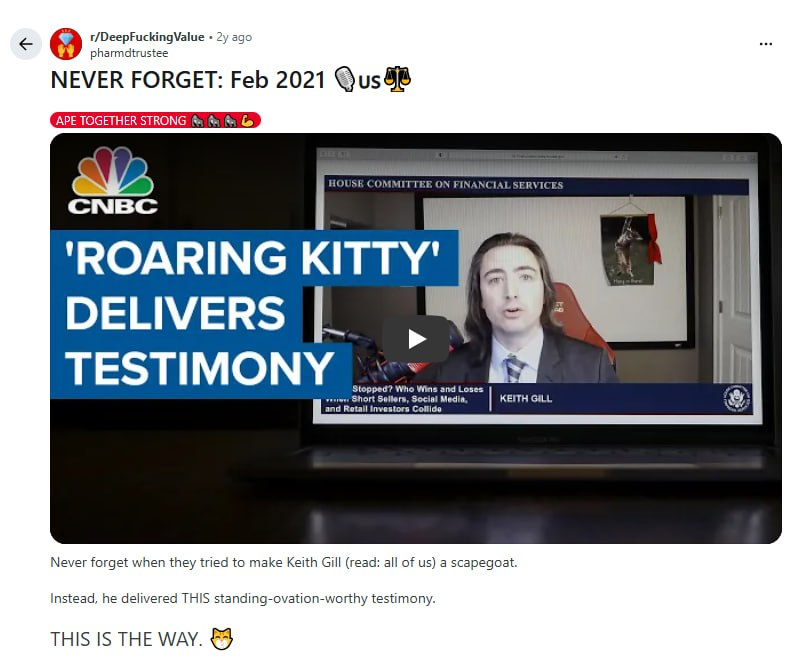 Roaring Kitty congressional testimony